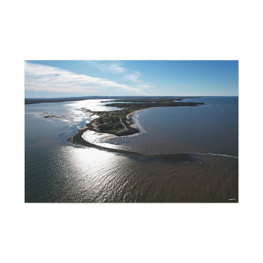 Caribou Island Canvas Art