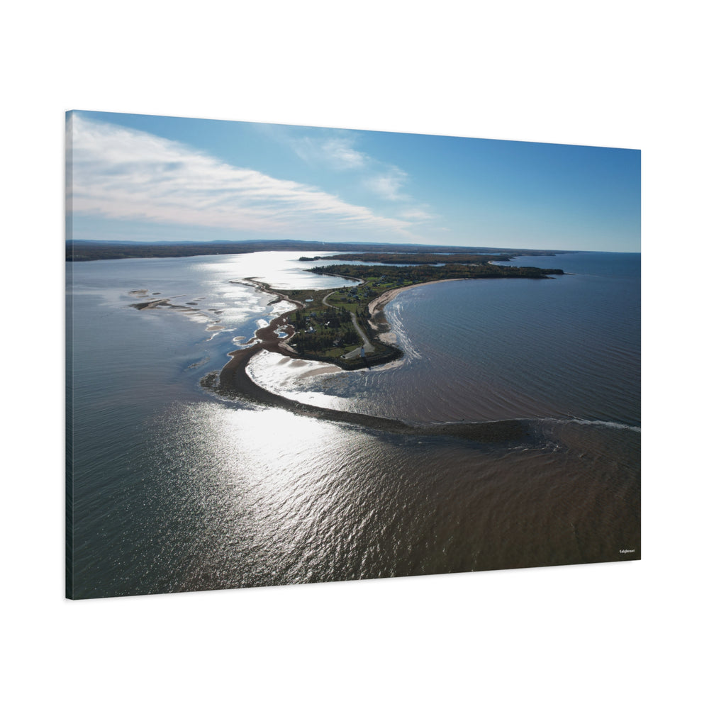 Caribou Island Canvas Art