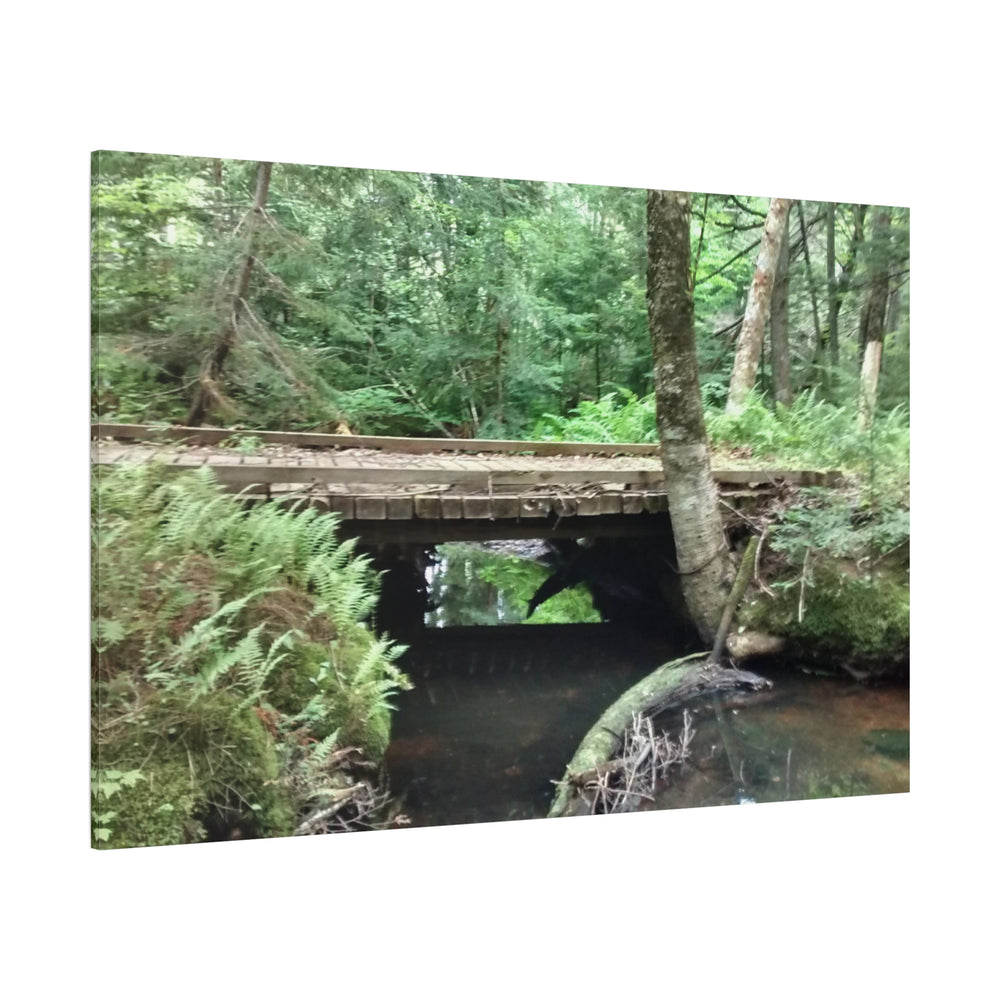 Enchanted Crossing Canvas Wall Art